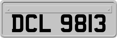 DCL9813