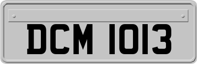 DCM1013