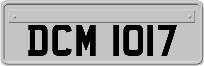 DCM1017