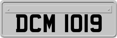 DCM1019