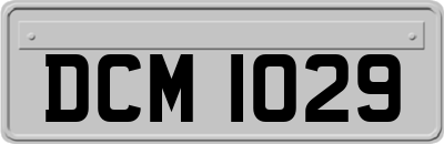 DCM1029