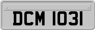 DCM1031