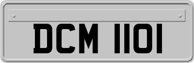 DCM1101