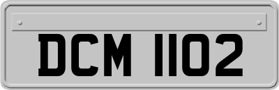 DCM1102