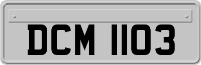 DCM1103