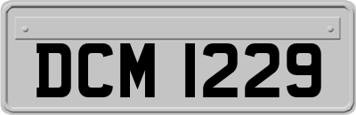 DCM1229