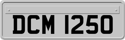 DCM1250