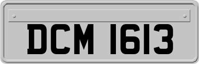 DCM1613