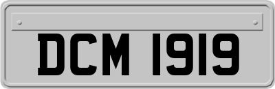 DCM1919
