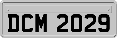 DCM2029