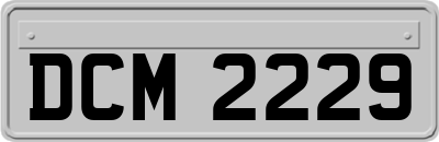 DCM2229