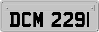 DCM2291