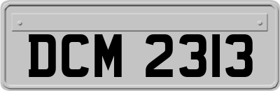 DCM2313