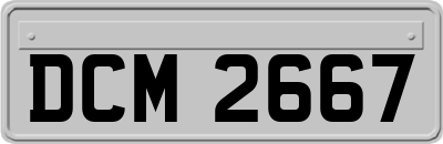 DCM2667