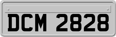 DCM2828