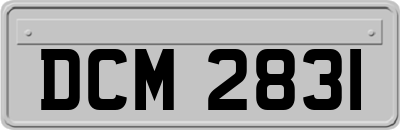 DCM2831