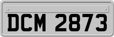 DCM2873