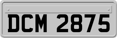 DCM2875
