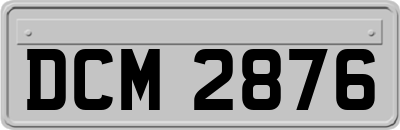 DCM2876