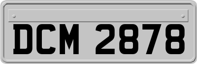 DCM2878