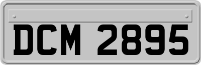 DCM2895