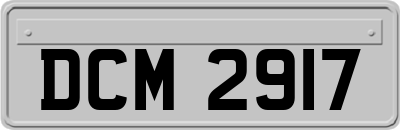 DCM2917