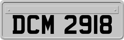 DCM2918