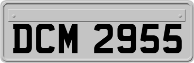 DCM2955