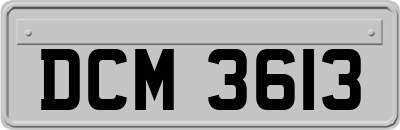 DCM3613