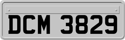 DCM3829