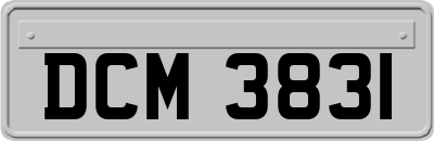 DCM3831