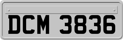 DCM3836