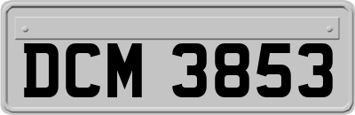 DCM3853