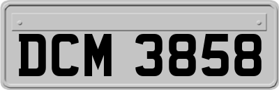 DCM3858