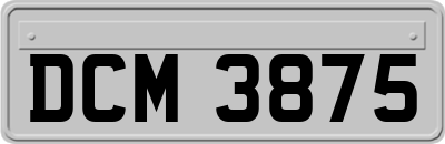 DCM3875