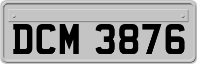 DCM3876