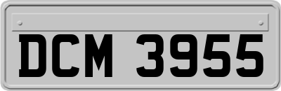 DCM3955