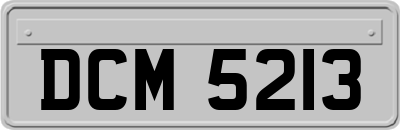 DCM5213