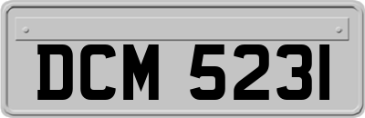 DCM5231