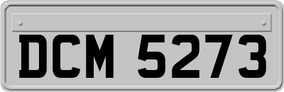 DCM5273