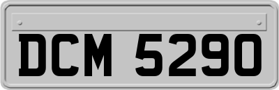 DCM5290