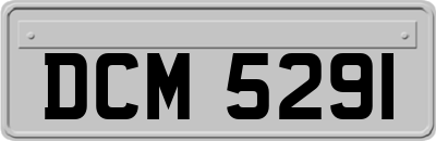 DCM5291