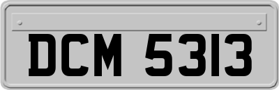 DCM5313