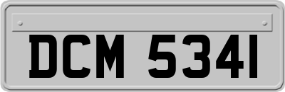 DCM5341