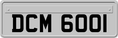 DCM6001