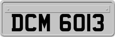 DCM6013