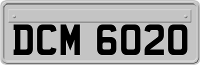DCM6020
