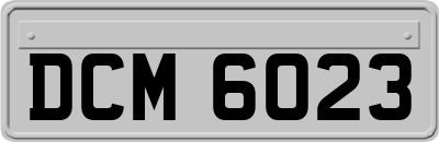 DCM6023