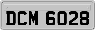 DCM6028