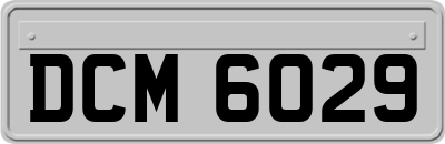 DCM6029